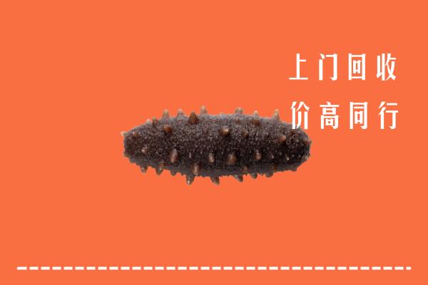 高价求购：佳木斯回收海参