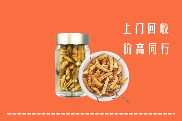 佳木斯回收冬虫夏草