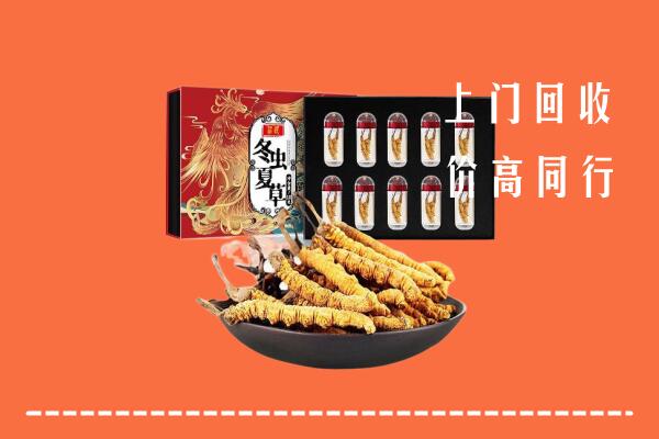 佳木斯回收虫草